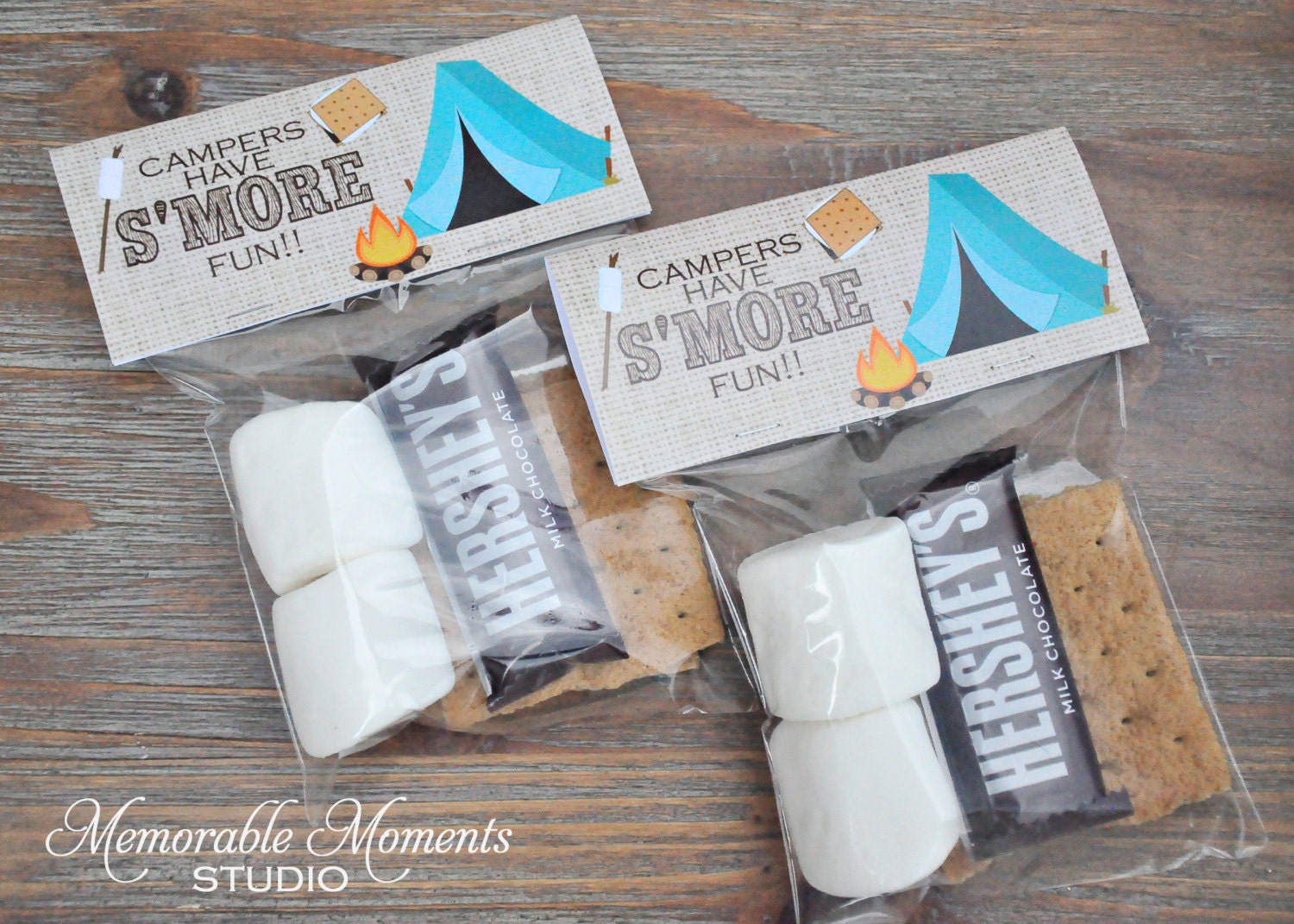 INSTANT DOWNLOAD Printable Bag Labels Camping Party