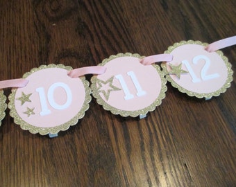 Twinkle Twinkle Little Star Collection:Monthly first birthday photo banner. Picture Banner. First Year Banner. Stars. Glitter. Pink Gold V1