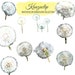 Watercolor Dandelion Collection - Commercial and Personal Use