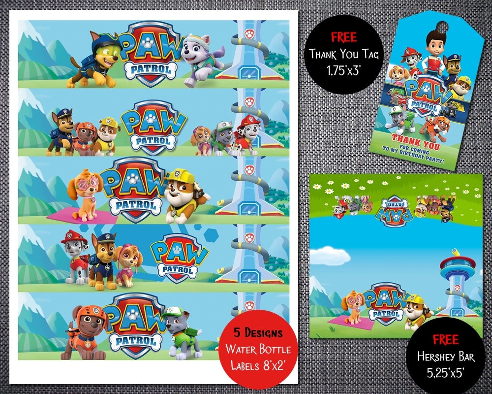 paw patrol water patrol