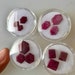 1Reserved for Paul, 4 groups of Rubies
