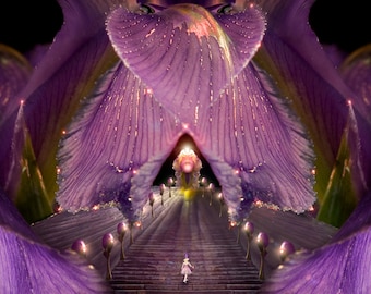 Flower Fairy Photo - Iris - Print for nursery or child's room decoration