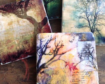 Stone Coasters - Rooted in Time set of 4