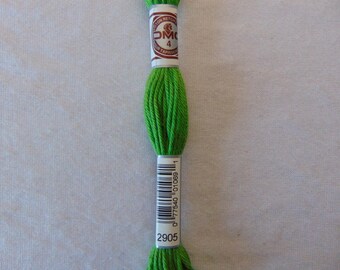 Cotton canvas, DMC plied E_2905 89, parakeet Green