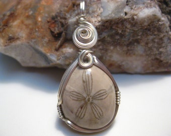 Fossil Sea Urchin (Echinoid) Pendant in Sterling Silver