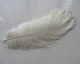 100 Ivory ostrich feathers for handmade items feather centerpiece,hat,fascinator,millinery