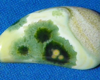 Ocean Jasper Designer Cabochon (727-H)