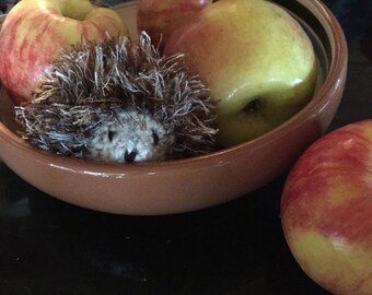The Cutest Little Hedgehog Ever / Made to Order
