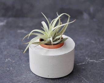 Air Plant Holder - Concrete Air Planter