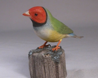Gouldian Finch (white-breast) Hand Carved Wooden Bird