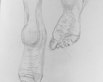Point Point Point Those Toes