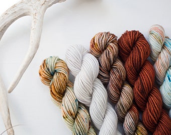 Headed Out West Mini Skein Set {DK Weight}
