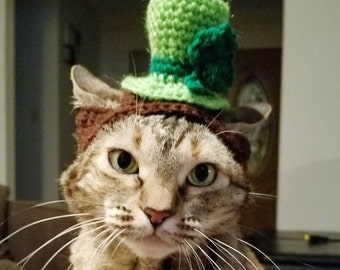 Cat top hat | Etsy