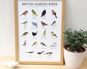 Garden bird print - 'British Garden Birds' poster - wildlife wall art, nature illustrations, birdwatching chart, nature gift, new home gift
