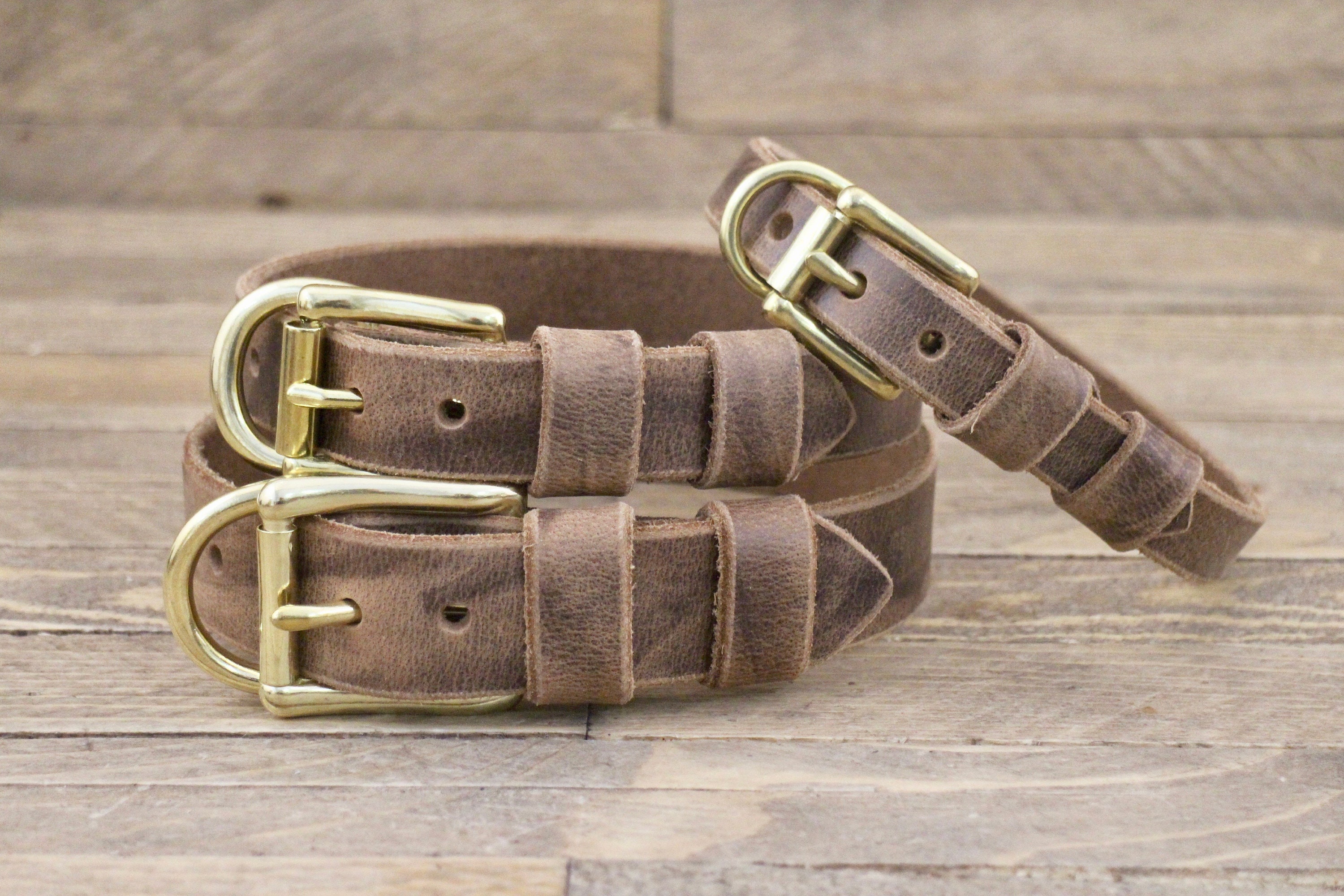 Crazy Dog Collars On Etsy Crazy Dog Collars On Etsy