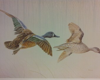 Wildlife Art Signed Print "Gooses" by Mark Wynen Limited Edition Print