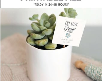CUSTOMIZABLE Let Love Grow tags - ready in 24-48 hours