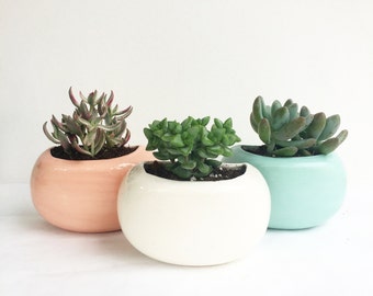 Handmade Modern Wall planter or Desktop planter