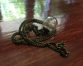 Miniature terrarium necklace with dandelion seeds