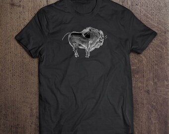 Cave Art Bison