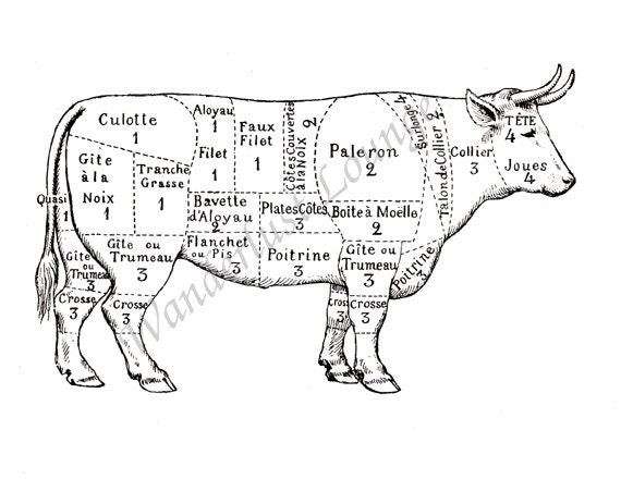 Instant Download French Cow Cuts of Beef 025 cow beef cut diagram 