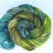 Three Forests - Mixed BFL Roving