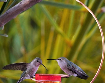 Bee-Proof Drip-Free Copper Hummingbird Feeder II