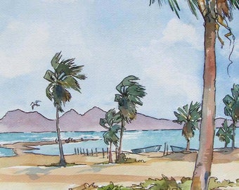 La Playa The Beach - Palms, Islands, Sea, Sand and Surf.