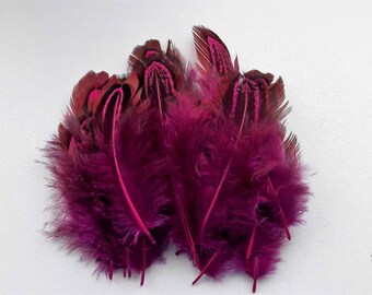 50 feathers of pheasant fuchsia 2-6cm