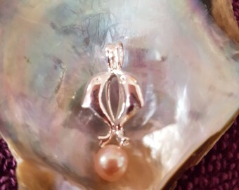Beautiful akoya pearl necklace