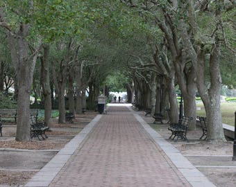 Waterfront Park Charleston