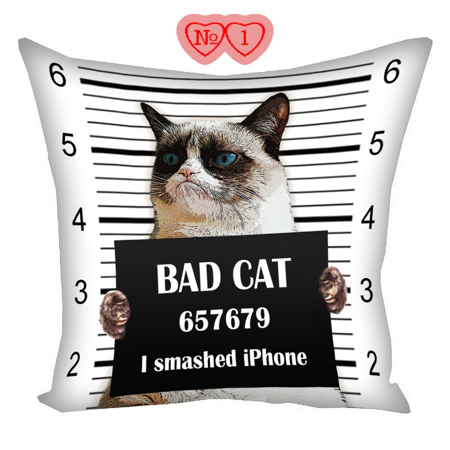 grumpy cat cushion