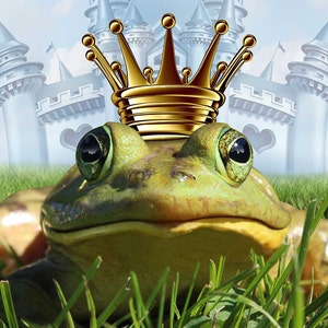 Frog Prince Perfume Mist 1/2 oz. Fairy Tale Perfume, Fantasy Perfume, Perfume Gift For Her, Cherry Perfume, Girl's Perfume, Fairy Perfume