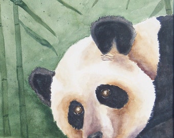 aceo Panda Limited to 8
