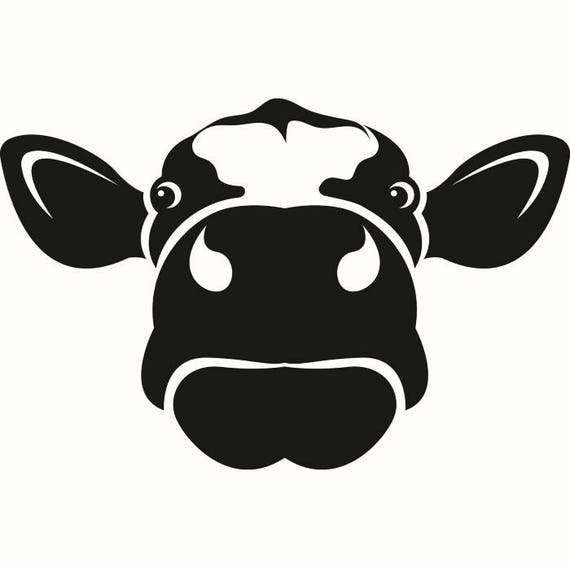 Download Cow 2 Cattle Calf Bull Steer Livestock Meat Steak Beef Dairy