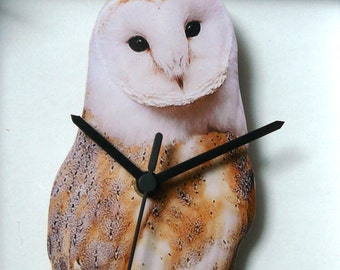 OWL,WALL CLOCK,bird,bird of prey