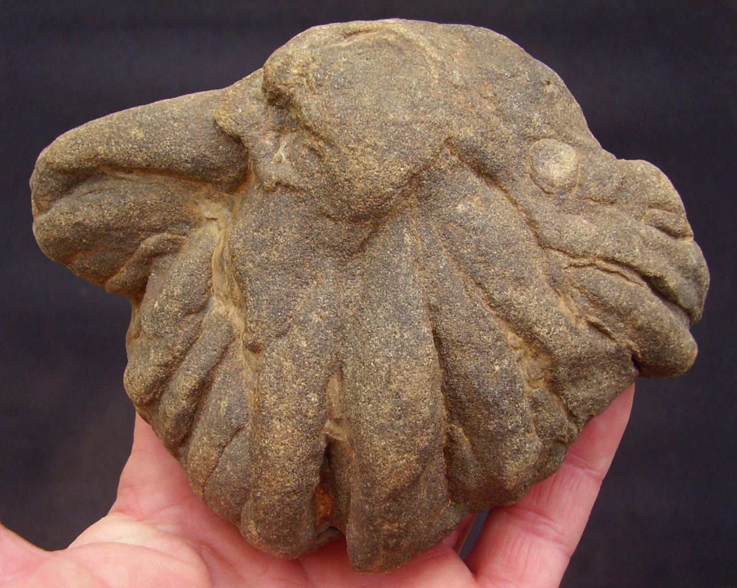 Rare American Indian Sinew Stone Artifact