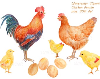 Watercolor clipart - hand drawn Chicken family rooster, hen, chicks and eggs printable instant download