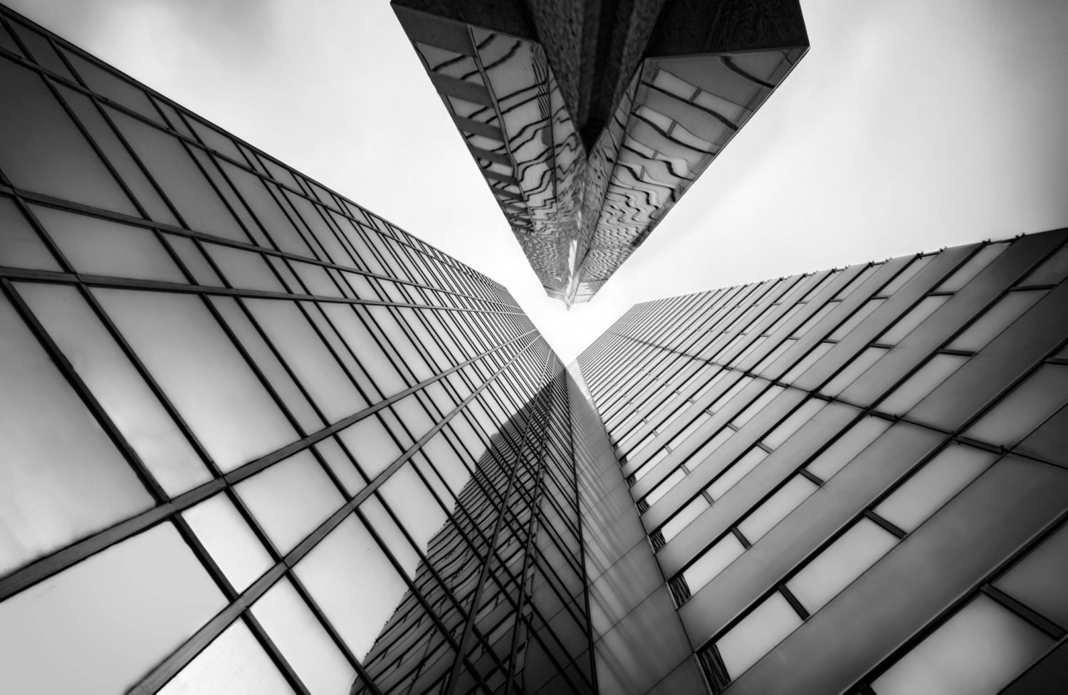 Chicago Skyscraper Print Photography Building Black and