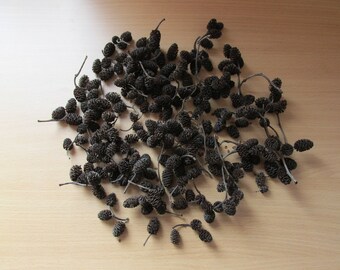 Alder cones black cones small cones cones with branches handicraft materials floristry materials dried alder cones natural materials alder