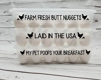 Chicken coop plans in metric