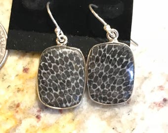Fossilized Stingray Coral Earrings
