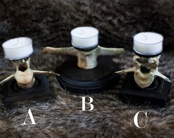 Real Deer Vertebrae Tea Light Candle Holder