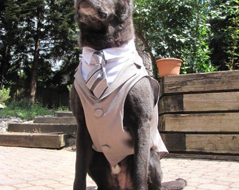 Gray Dog Tuxedo - custom sizing - Tie NOT included