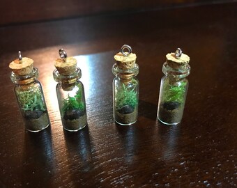 Miniature Terrarium Necklace