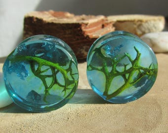 ear plugs, resin plugs, nature gauges, under sea gauges, plugs and tunnels, mens gauges, women gauges, girly plugs, resin tunnels, ear plugs