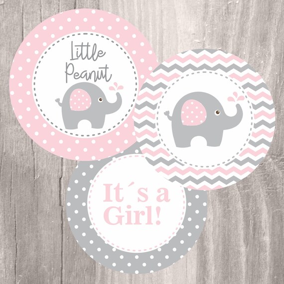 Pink Elephant Baby Shower Printable Centerpieces Pink and