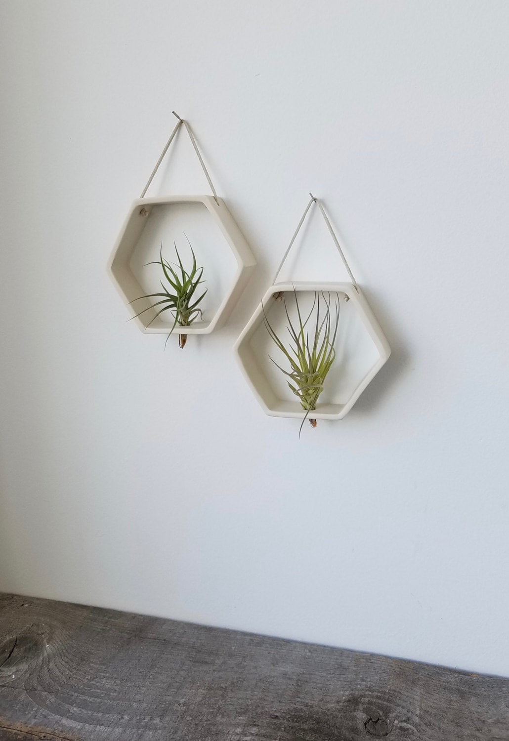 Porcelain Air plant Holder, Geometric Wall