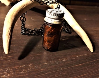 Bullsnake specimen bottle necklace