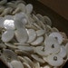 Vintage Mother of Pearl Wire Eye Shank Button, 7/8"